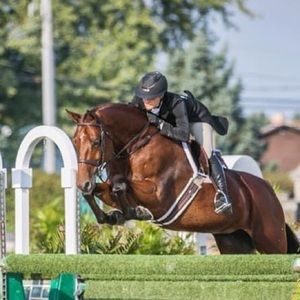 Meet your Posher, Elle